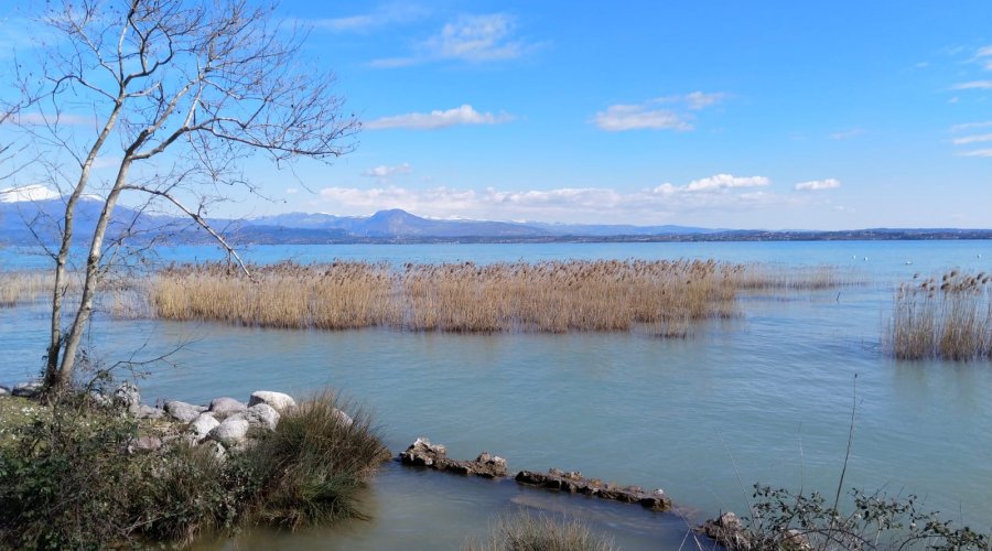 Nei dintorni del San Benedetto: la spiaggia di Punta Grò