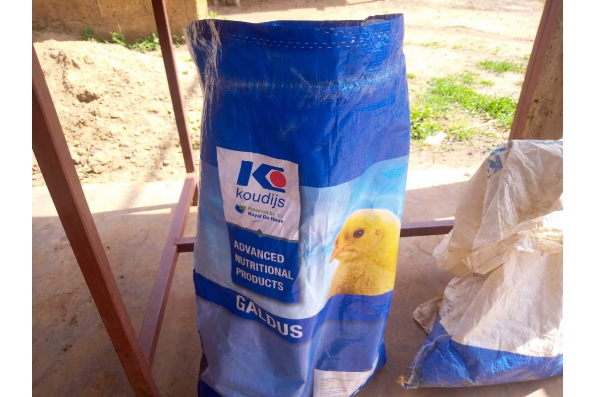 San Benedetto Cares
