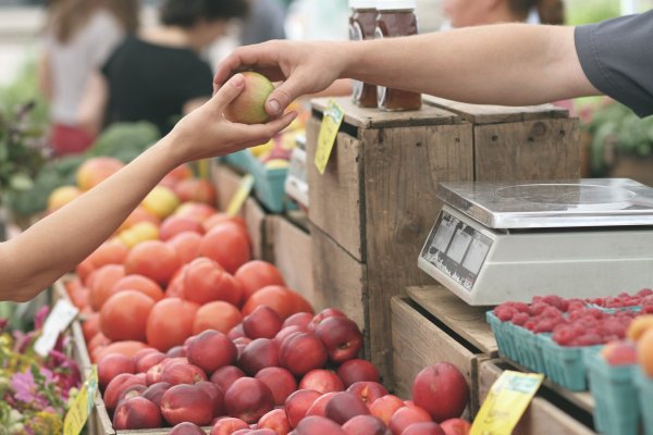 Selling fruits at the market