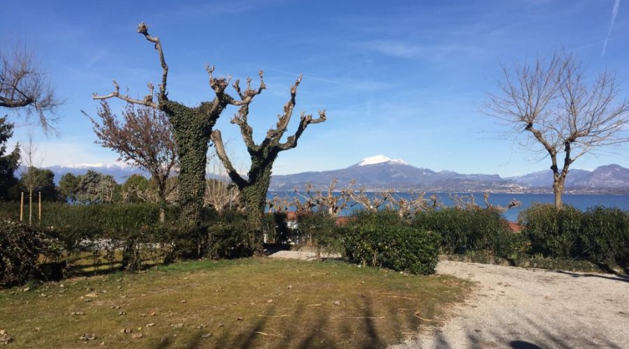 Summer Season 2020 - Opening in March