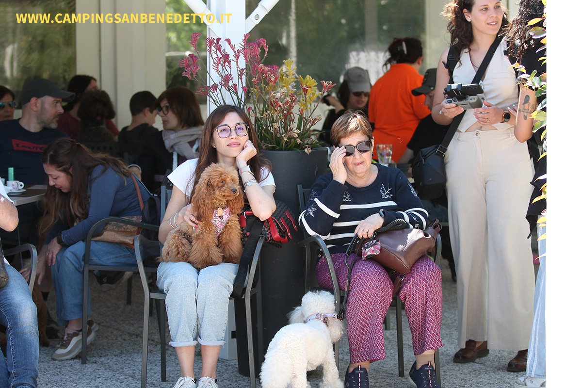 Fiera Nazionale del Barboncino: 16-17 Mai 2026