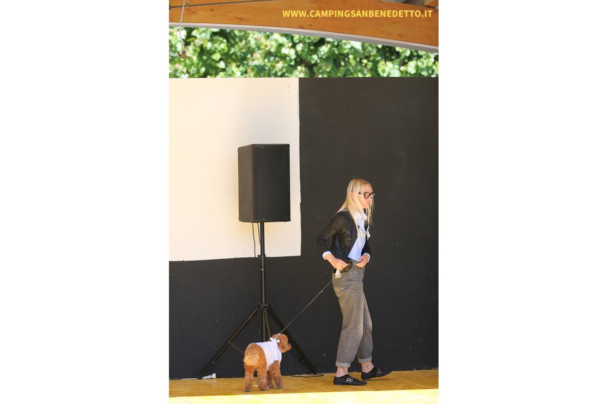 Fiera Nazionale del Barboncino: 16-17 Mai 2026
