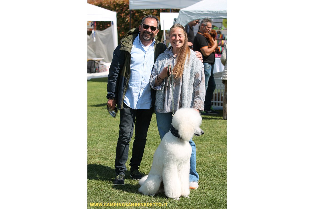 Fiera Nazionale del Barboncino: 16-17 Mai 2026