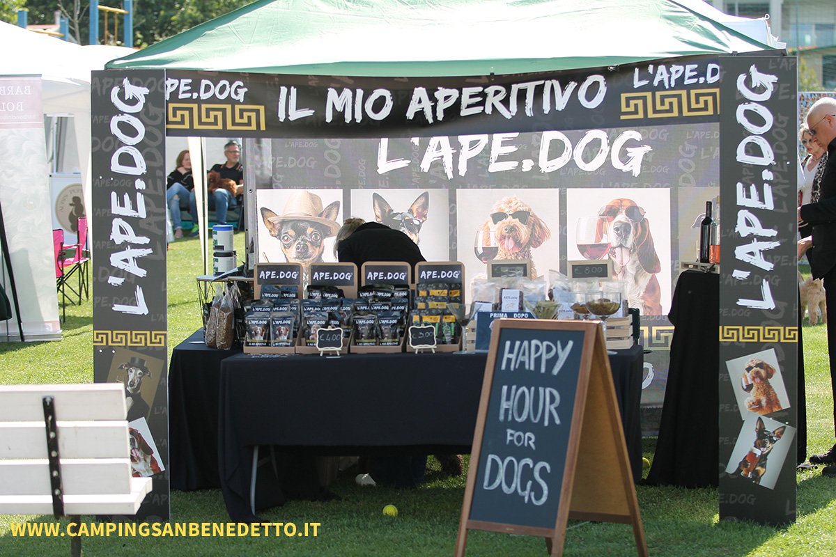 Fiera Nazionale del Barboncino: 16-17 Mai 2026