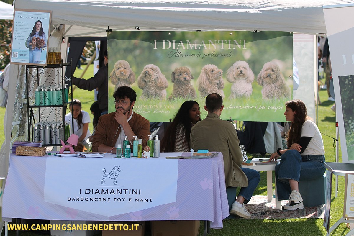 Fiera Nazionale del Barboncino: 16-17 Mai 2026