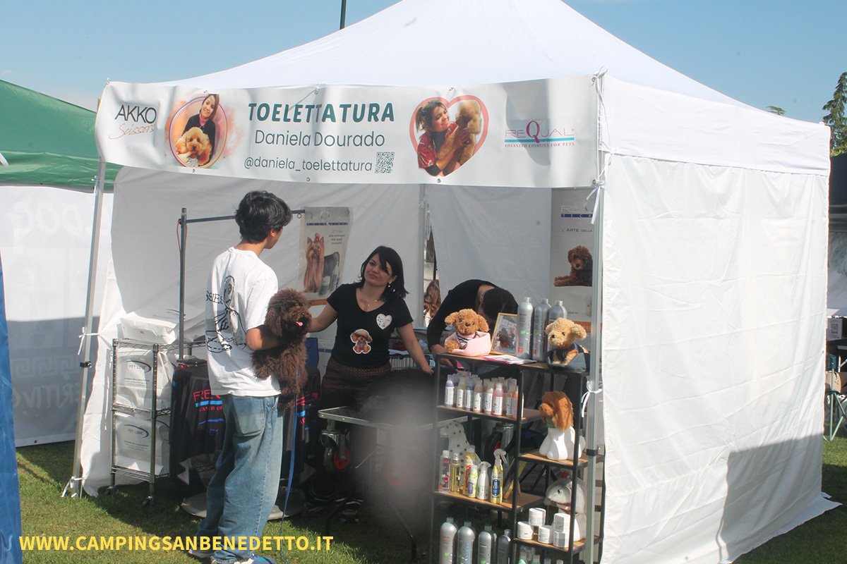 Fiera Nazionale del Barboncino: 16-17 Mai 2026