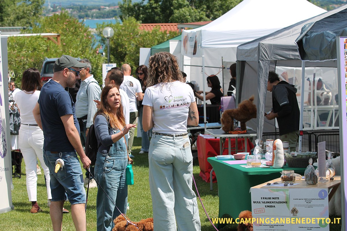 Fiera Nazionale del Barboncino: 16-17 Mai 2026