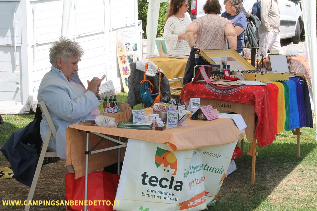 Fiera Nazionale del Barboncino: 16-17 Mai 2026