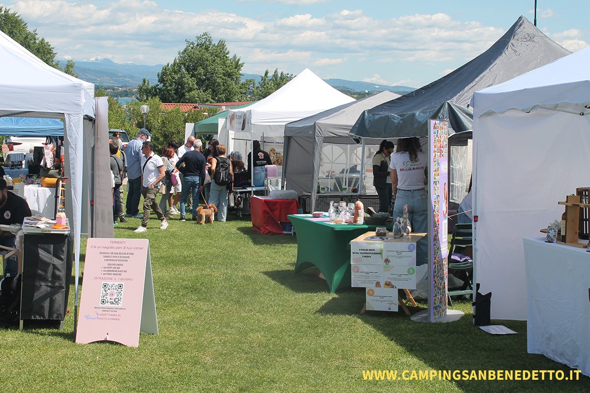Fiera Nazionale del Barboncino: 16-17 Mai 2026